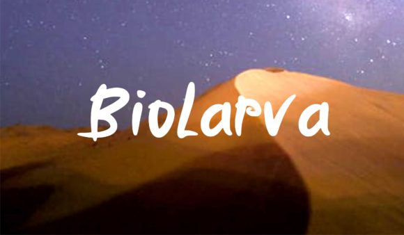 Biolarfa Font: A Strategic Review for Campaign Design