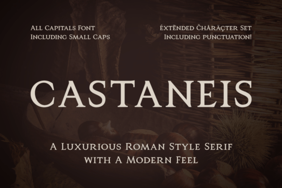 Castaneis: A Roman Serif Font for Makers