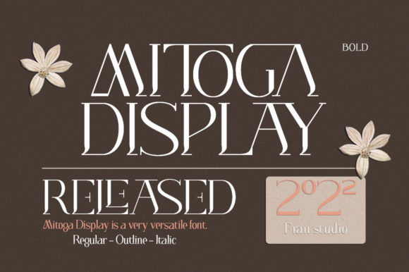 Mitoga Display Serif Font for Web Design