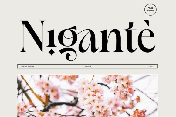 Nigante: Elevating Web Design with Elegant Serif Fonts