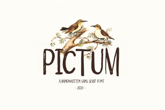Pictum: A Quirky Display Font for Editorial Design