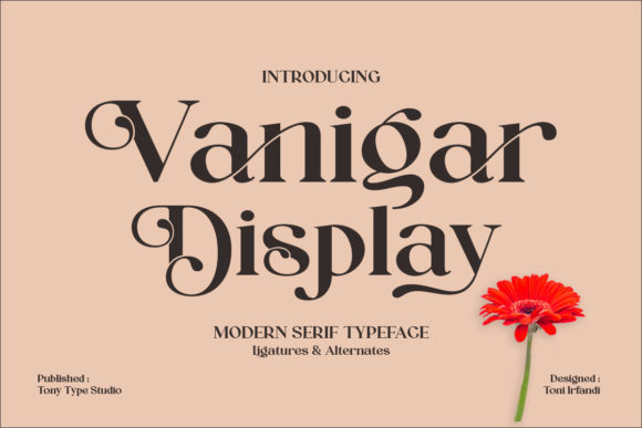 Vanigar Display Font for Modern Web Design